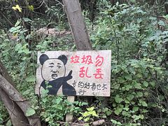 -长虫山生态公园风景林