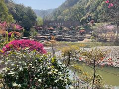 -桃花岭景区