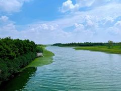 -春花秋色城市公园