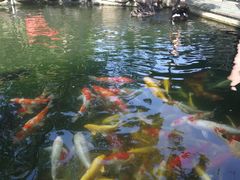 -湖鲜楼