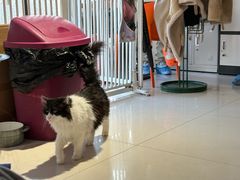 -平行世界·猫咖(首经贸店)
