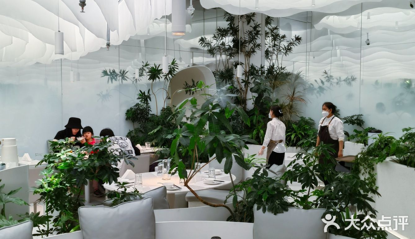 大树 | 为了它的美貌来吃它🌳好拍网红店