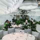 大树 | 为了它的美貌来吃它🌳好拍网红店