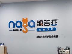 -纳吉亚猫专科动物诊疗中心(蒋宅口分院)
