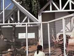 -J Create城市露营咖啡·简餐·宠物(上海动物园店)