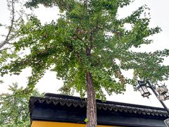 -西园戒幢律寺