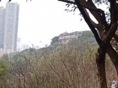 -重庆彩云湖湿地公园