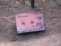 -黄帝陵