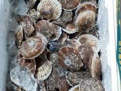 -众彩物流水产市场