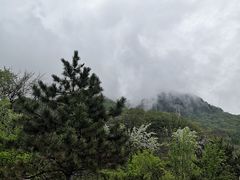 -丹东天桥沟景区