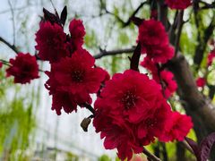 -元大都城垣遗址公园