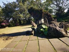 -海口火山口国家地质公园