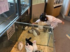 -FAIRYLAND龙族星球主题餐厅(凯丹广场店)