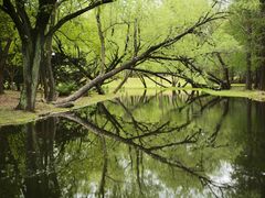 -上海共青森林公园