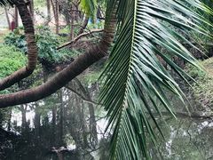 -白沙门生态公园