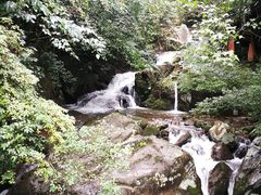 -大围山国家森林公园
