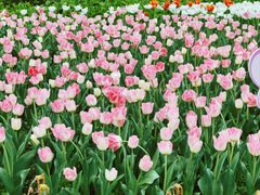 -玄武湖景区-情侣园游乐场