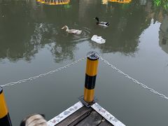 -J Create城市露营咖啡·简餐·宠物(上海动物园店)