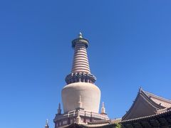 -张掖大佛寺景区