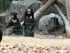 -清迈夜间动物园