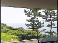 -滨千鸟之汤 海舟