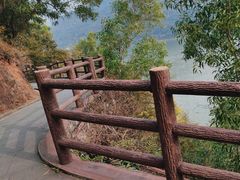 -羚羊峡古栈道森林公园