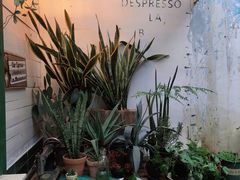 -大水的店(昙华林店)