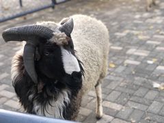 -长白岛森林公园