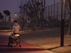 -春花秋色城市公园