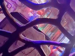 -醉小酒馆·川菜·江湖菜·重庆菜(观音桥旗舰店)