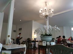 -Fern Forest Cafe