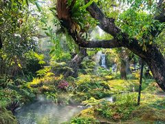 -Chom Cafe and Restaurant