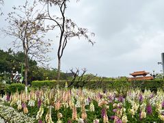 -广州莲花山旅游区