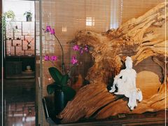 -足本纪·足道 SPA 简餐 小吃(文三西路店)