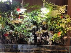 -雅苑中餐厅
