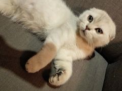 -MIKAKU(万达广场上海宝山店)