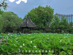 -上海醉白池公园