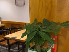 -小厨子私房菜·云南美食店
