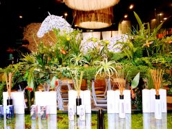 -THANN EXPRESS SPA
