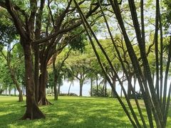 -深圳湾公园(南山区)