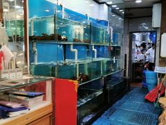 水产区-美居大酒楼(美居广场店)