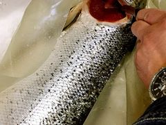 -富山日式料理(宽厚里店)