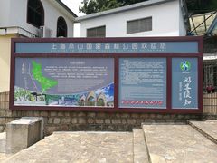 -上海佘山国家森林公园东门地面停车场