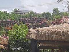 -正宗火盆自助烧烤·烤全羊·柴火鸡(龙泉山店)