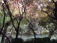 -教师之家赵家羊汤馆(东青龙街店)