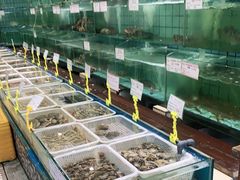 水产区-海岛渔村大酒店(云霄路店)