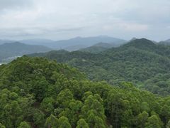 -头塘庄园(农家乐)