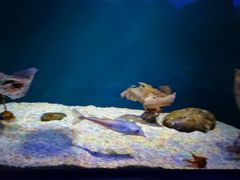 -北京清河镇农副产品交易市场中心