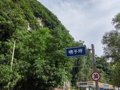 -沣峪口
