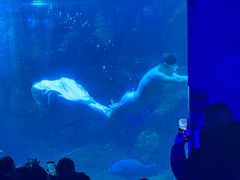 -威海华夏城景区